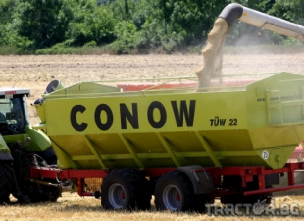 ДФЗ започва интервенционно изкупуване на зърно - ДОКУМЕНТИ