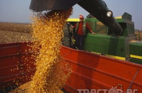 Цената на царевицата се повиши до 170лв./т. Средният добив жито е 363 кг.