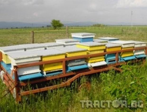В Плевен се открива традиционното изложение по пчеларство