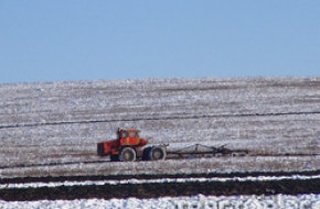 Снегът пази житните посеви от измръзване