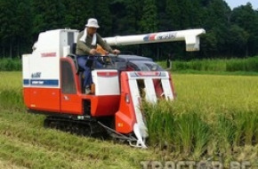 Оризовата реколта бе рекордна през 2007-а година