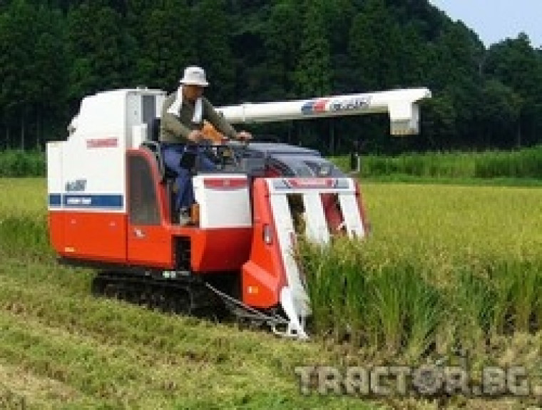 Оризовата реколта бе рекордна през 2007-а година