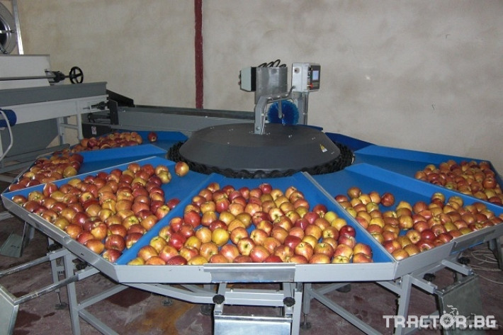 Машини за лозя / овошки Сортировъчна линия за ябълки модел Mini CC 0 - Трактор БГ