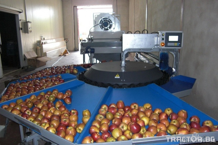 Машини за лозя / овошки Сортировъчна линия за ябълки модел Mini CC 2 - Трактор БГ