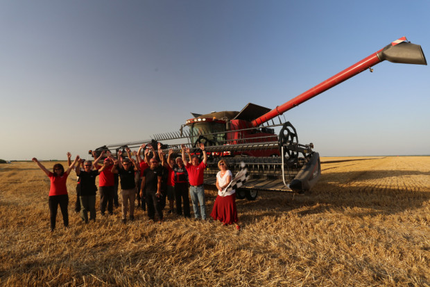 Комбайн Case IH Axial Flow постигна 816 кг/дка среден добив пшеница (ВИДЕО)
