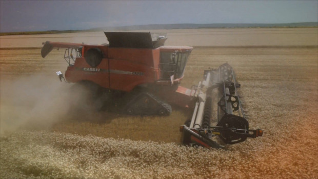 Комбайн Case IH Axial Flow - рекордна жътва на пшеница