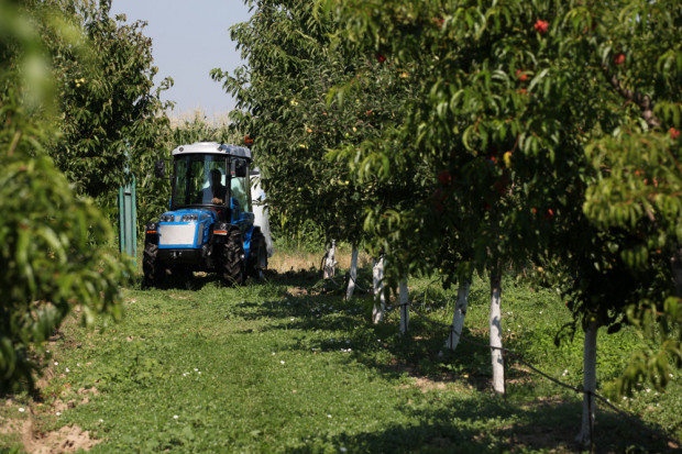 Има работен вариант на Наредбата за мярка Млад фермер по ПРСР 2014-2020