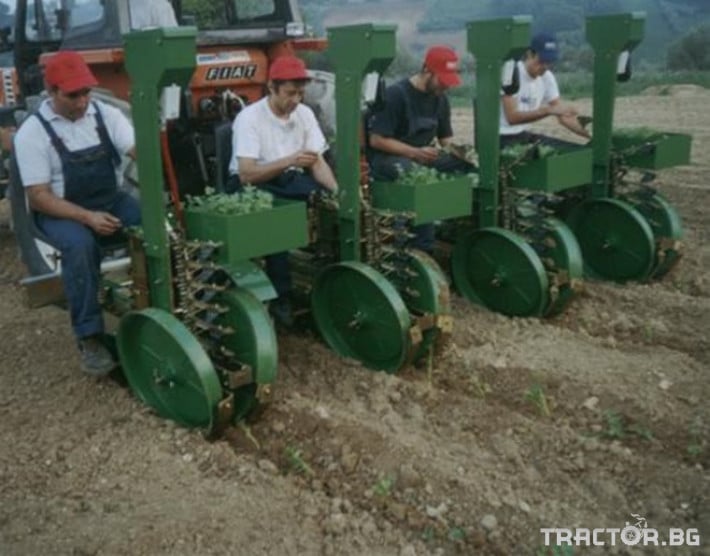 Машини за зеленчуци Полуавтоматична разсадопосадачна машина FEDELE PLANT 4 - Трактор БГ