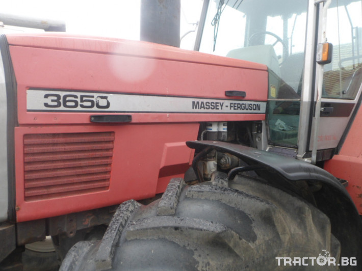 Трактори Massey Ferguson 3650 1 - Трактор БГ
