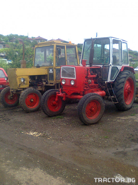 Трактори Болгар tk 80 1 - Трактор БГ