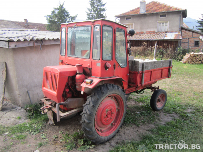 Трактори трактор друг T16M 1 - Трактор БГ