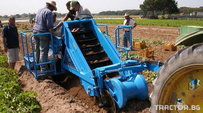 Машини за зеленчуци Комбайн прикачен за събиране на картофи K600 4 - Трактор БГ