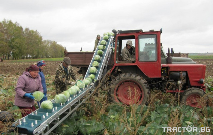 Машини за зеленчуци Транспортна лента за зеленчуци НОУТ 7 6 - Трактор БГ