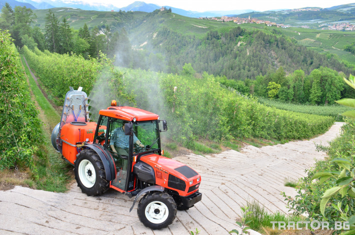 Трактори Goldoni Лозаро-овощарски трактор Star 100 3 - Трактор БГ