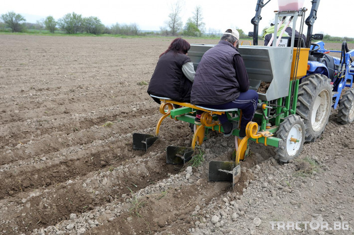 Машини за зеленчуци Двуредов картофосадач с торовнасяне за рътен картоф 4 - Трактор БГ