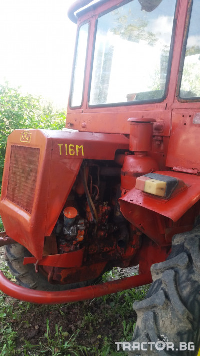Трактори трактор друг Руско шаси Т16 6 - Трактор БГ