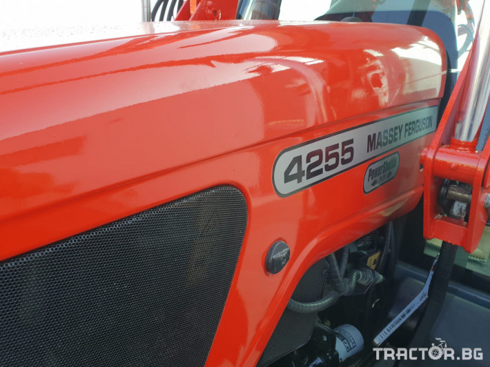Трактори Massey Ferguson 4255 7 - Трактор БГ