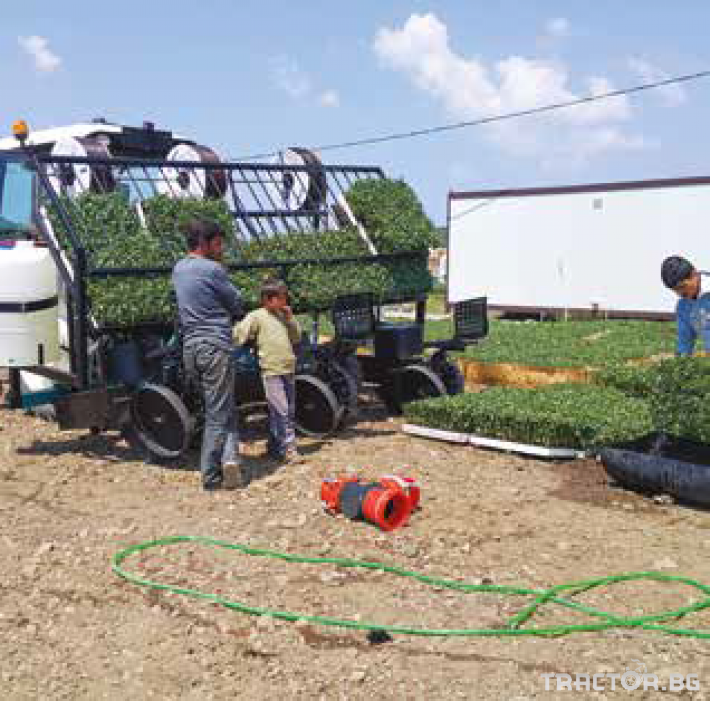 Машини за зеленчуци Разсадо-посадъчни сеялки Mono Makine 1 - Трактор БГ