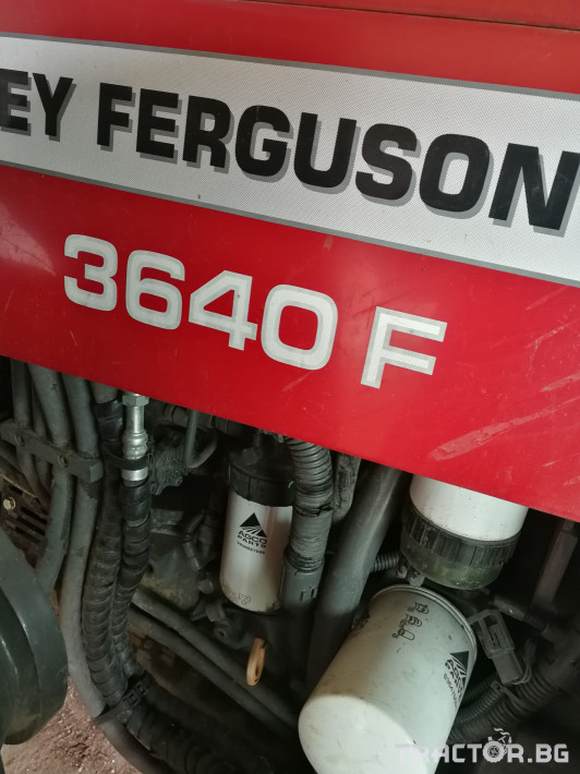 Трактори Massey Ferguson 3640f 14 - Трактор БГ