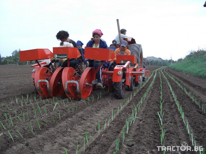 Машини за зеленчуци Разсадо-посадъчна машина за зеленчуци 0 - Трактор БГ