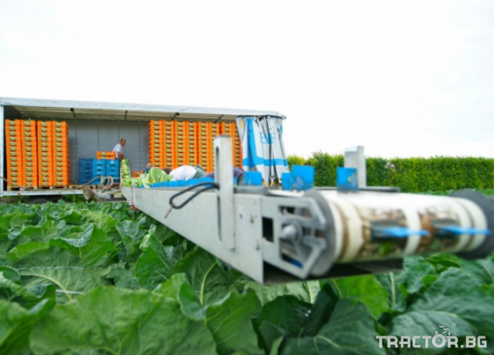 Машини за зеленчуци Лента за прибиране на зеленчуци 0 - Трактор БГ