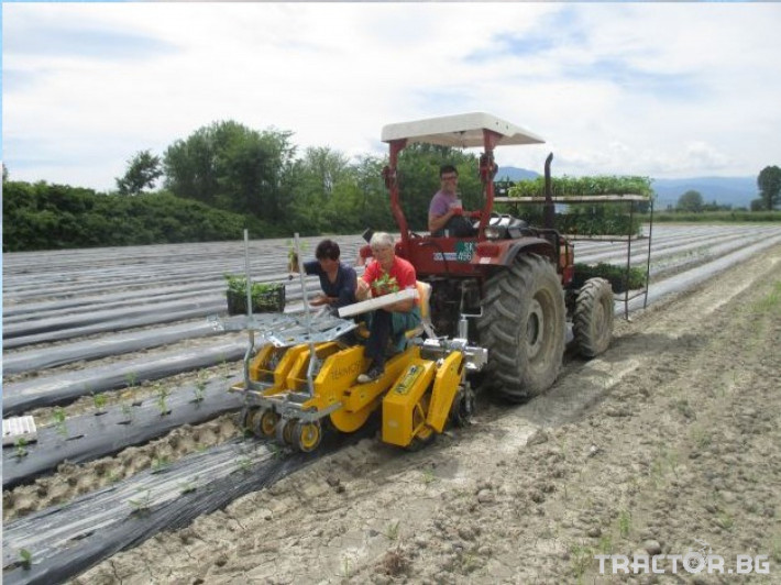 Машини за зеленчуци Меркурий Агро Садачка на разсад през мулч 9 - Трактор БГ