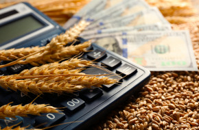 Пазарът за зърно в твоите ръце