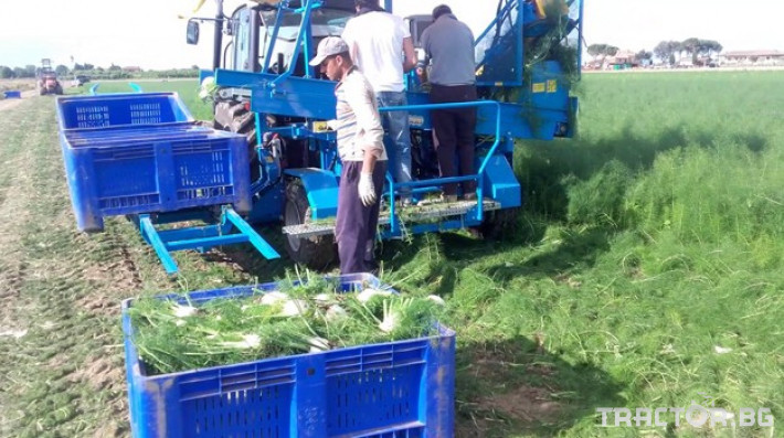 Комбайни Прикачен комбайн за събиране на зеленчуци 2 - Трактор БГ