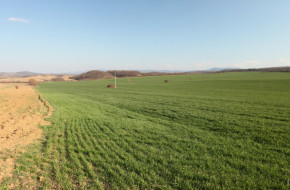 Земеделски терени се дават под наем в Шуменско