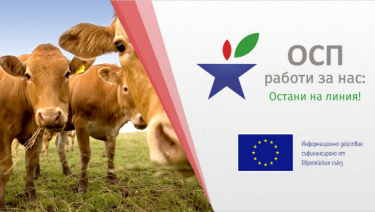 Онлайн семинар: Месодайното говедовъдство в преходния период на ОСП