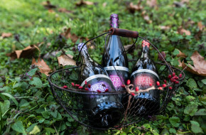 Сделка на годината: New Bloom Winery купи нови 2000 дка лозя