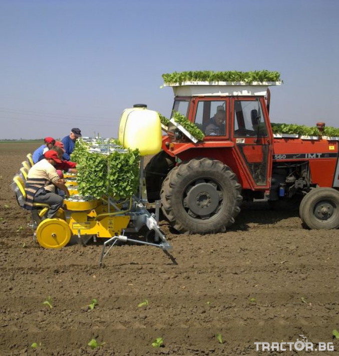 Машини за зеленчуци Садачка за разсади - едноредова / двуредова / три реда / четири реда 0 - Трактор БГ