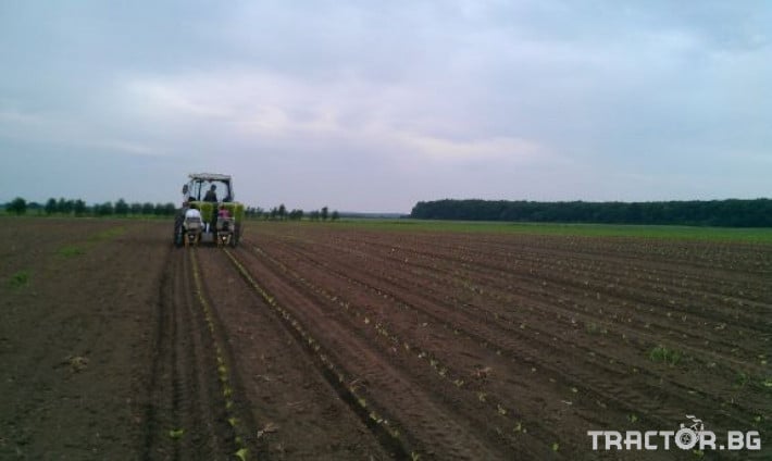 Машини за зеленчуци Садачка за разсади - едноредова / двуредова / три реда / четири реда 8 - Трактор БГ