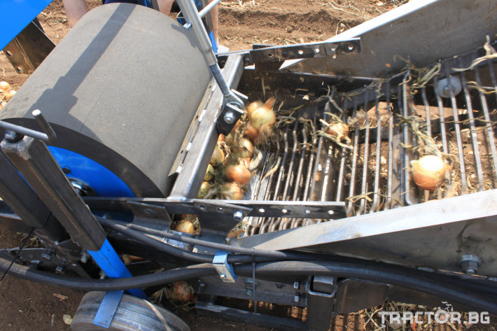 Комбайни комбайн друг Комбайн прикачен за събиране на картофи/лук 11 - Трактор БГ