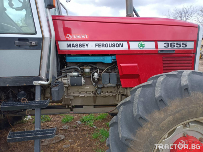Трактори Massey Ferguson 3655 12 - Трактор БГ