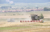 В разгара на жътвата на пшеница