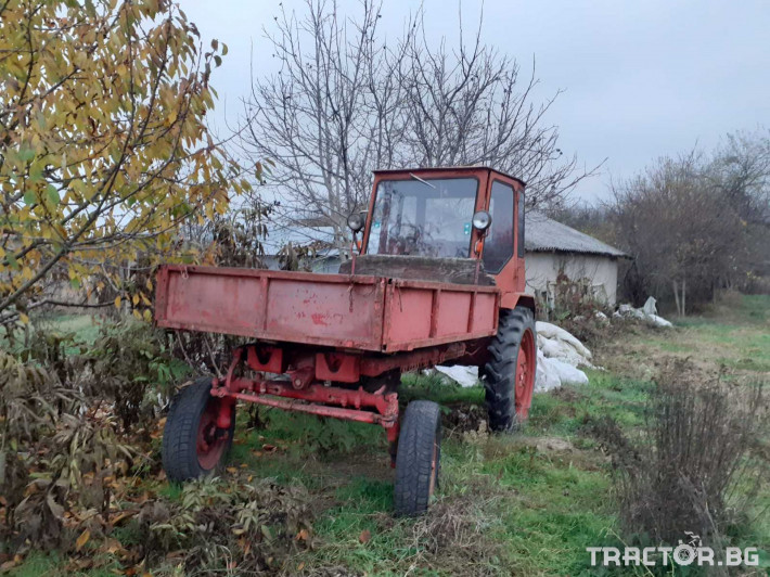 Трактори Владимировец Т 16M 1 - Трактор БГ