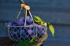 Търпанова: Сливата и десертното грозде са обречени