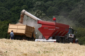 През първата половина на август: Украйна изнесе 820 000 тона зърно през дунавските си пристанища