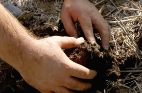Фермери: Най-голям проблем е съсипването на почвата