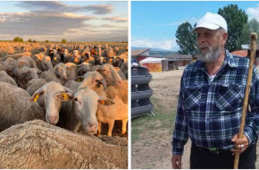 Овцевъд с мандра: Решението не е в епизодичните недоволства